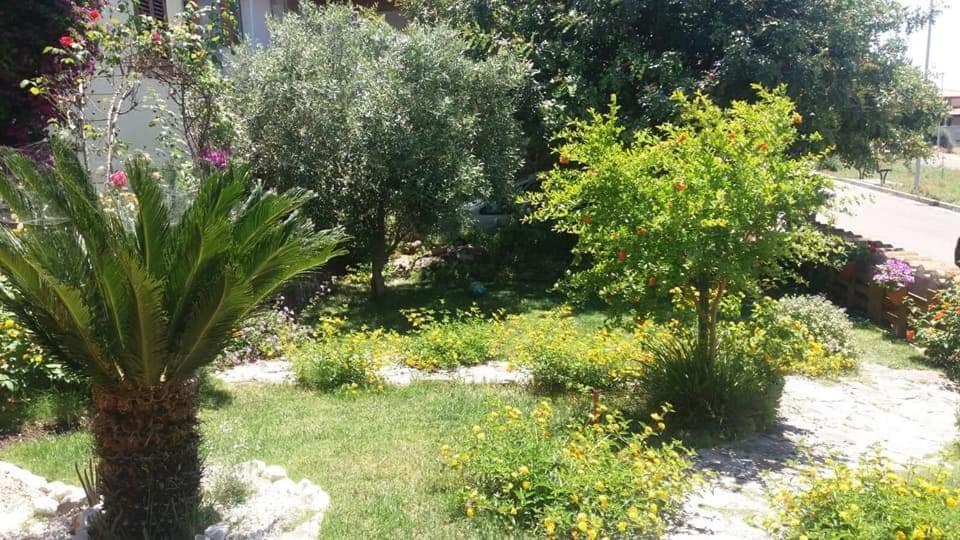 ساردارا B&B Ottoulivi المظهر الخارجي الصورة