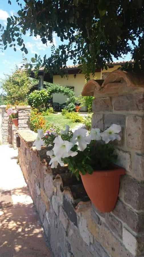ساردارا B&B Ottoulivi المظهر الخارجي الصورة
