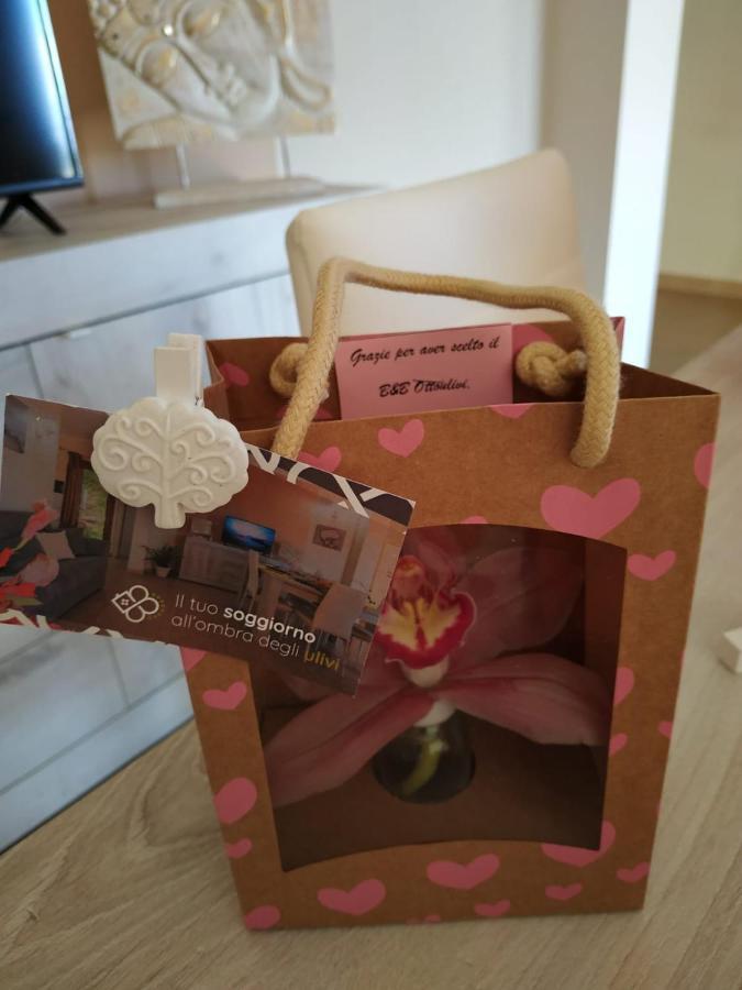 ساردارا B&B Ottoulivi المظهر الخارجي الصورة