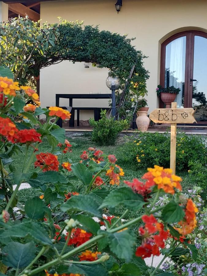 ساردارا B&B Ottoulivi المظهر الخارجي الصورة