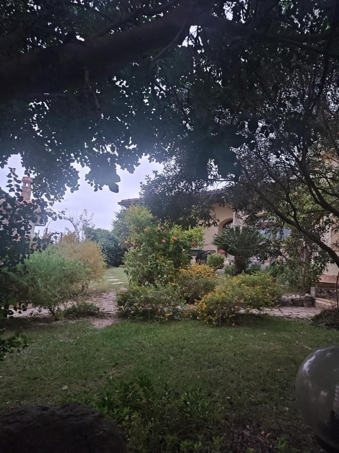ساردارا B&B Ottoulivi المظهر الخارجي الصورة